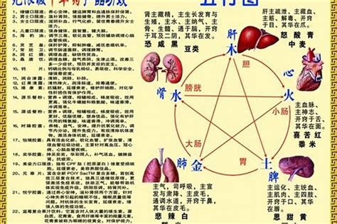 2014 五行|2014年出生是什么命运势如何？什么五行？